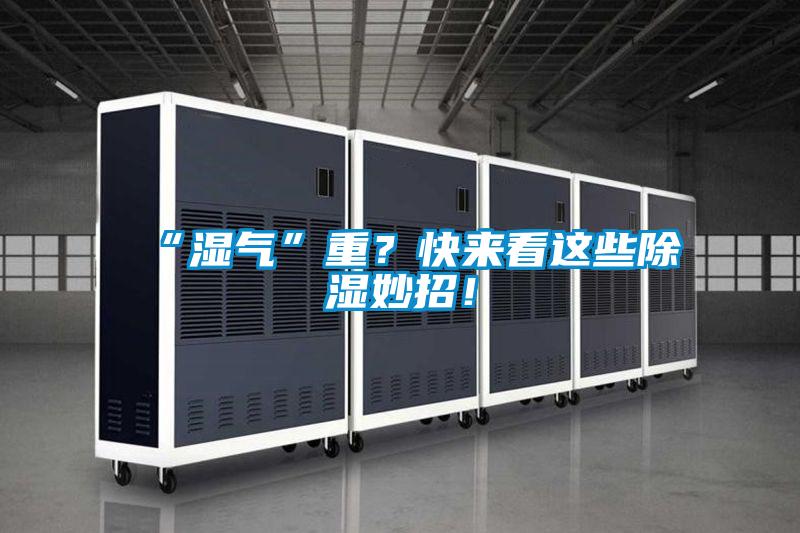 “濕氣”重？快來(lái)看這些除濕妙招！