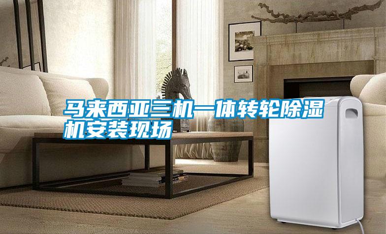 馬來西亞三機一體轉輪除濕機安裝現場