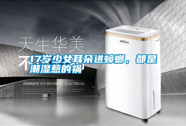 17歲少女耳朵進(jìn)蟑螂，都是潮濕惹的禍