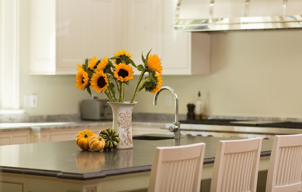 你家里的環(huán)境是太干燥還是太潮濕? 你家里的環(huán)境是太干燥還是太潮濕?