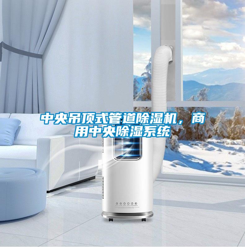 中央吊頂式管道除濕機，商用中央除濕系統