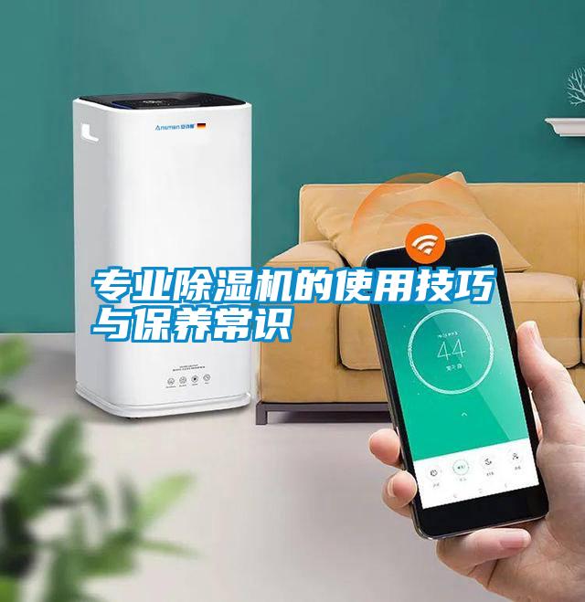 專業除濕機的使用技巧與保養常識