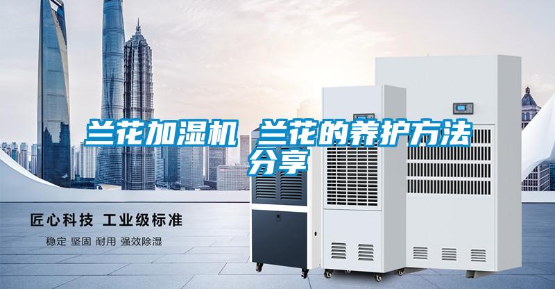 蘭花加濕機 蘭花的養護方法分享