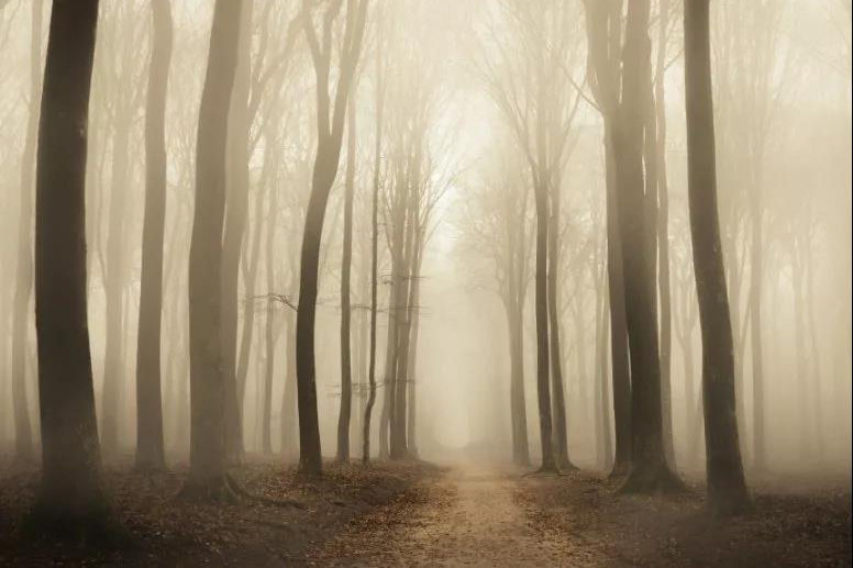 “回南天”除濕溫馨提示 “回南天”除濕溫馨提示