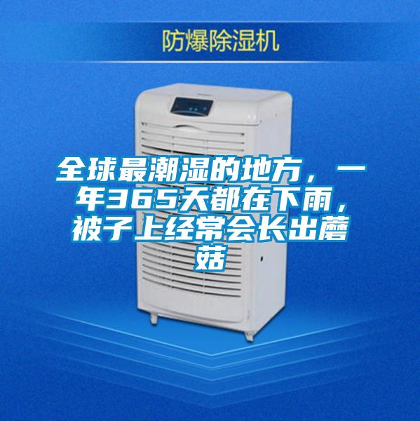 全球最潮濕的地方，一年365天都在下雨，被子上經常會長出蘑菇