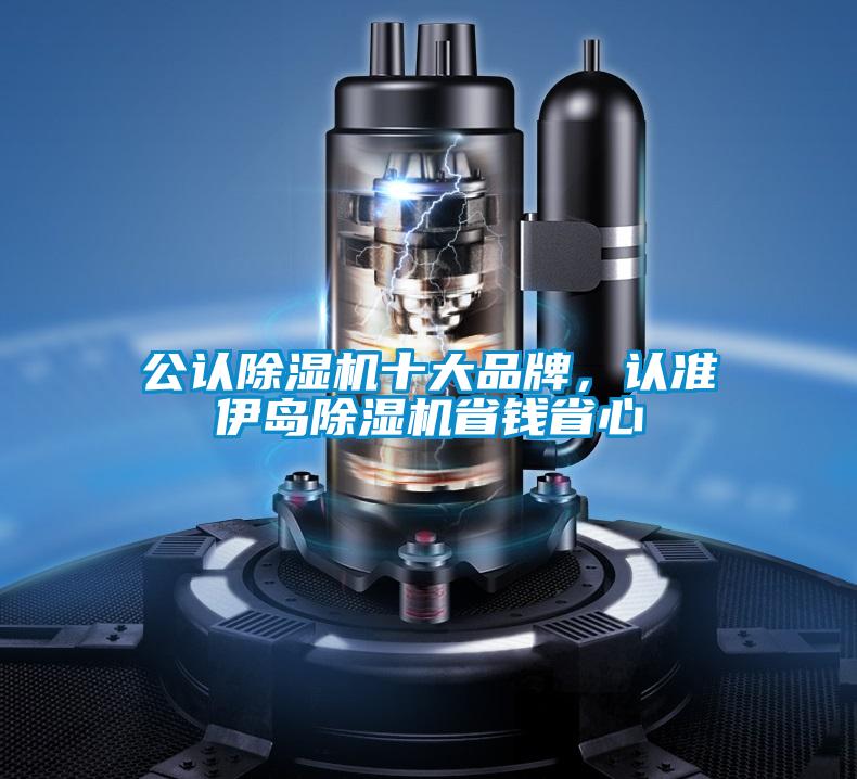 公認(rèn)除濕機(jī)十大品牌，認(rèn)準(zhǔn)伊島除濕機(jī)省錢省心