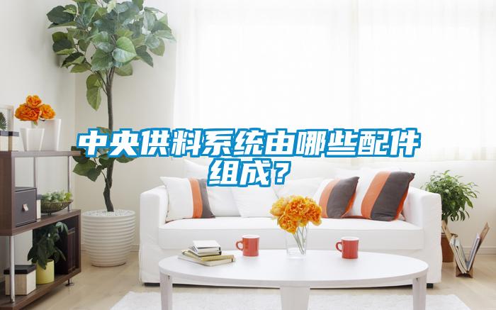 中央供料系統由哪些配件組成?