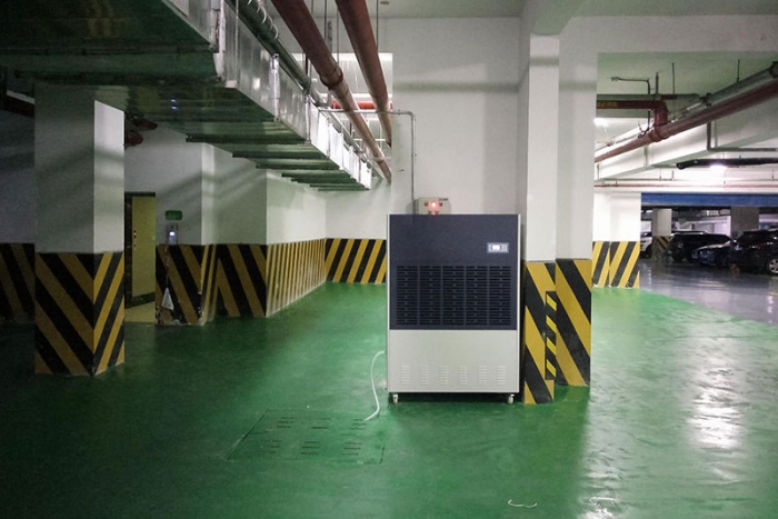 健康:春晨霧蒙蒙 除濕意更濃之 健康:春晨霧蒙蒙 除濕意更濃之