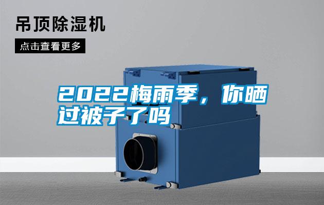 2022梅雨季,你曬過被子了嗎