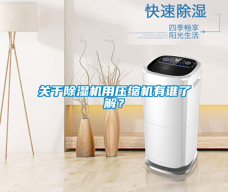 關(guān)于除濕機用壓縮機有誰了解？