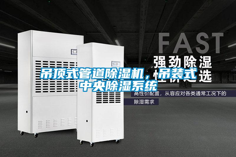 吊頂式管道除濕機，吊裝式中央除濕系統