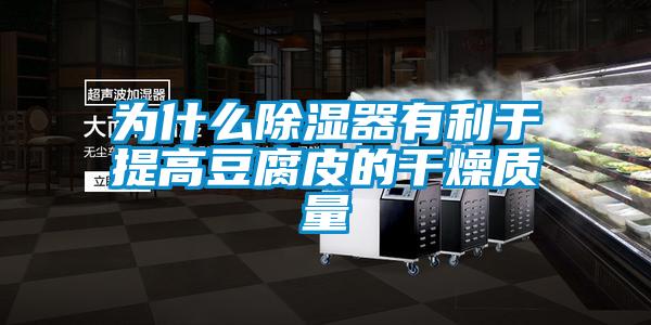為什么除濕器有利于提高豆腐皮的干燥質(zhì)量