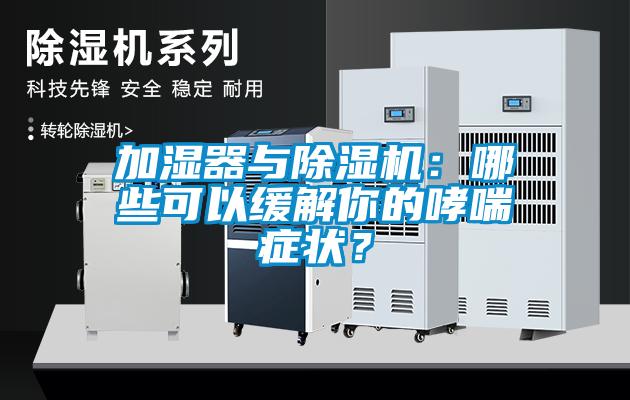 加濕器與除濕機：哪些可以緩解你的哮喘癥狀？