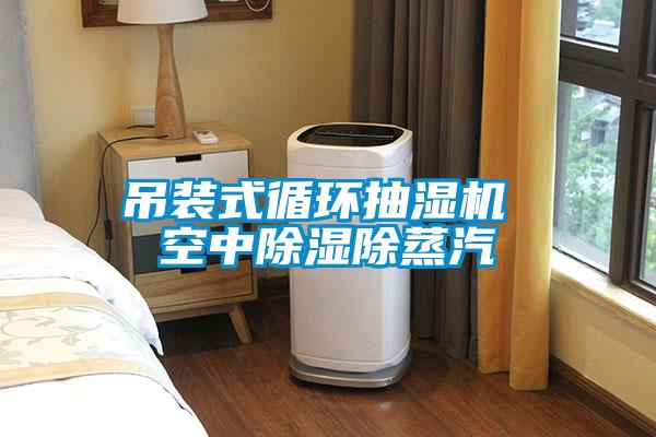 吊裝式循環抽濕機 空中除濕除蒸汽