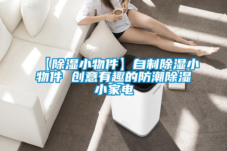 【除濕小物件】自制除濕小物件 創意有趣的防潮除濕小家電