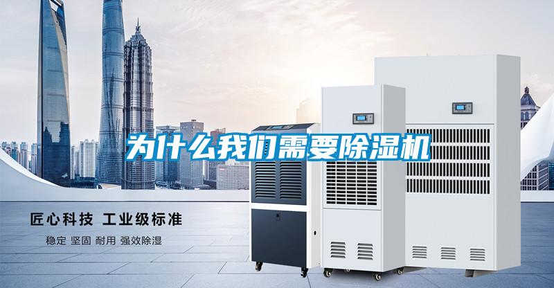 為什么我們需要除濕機