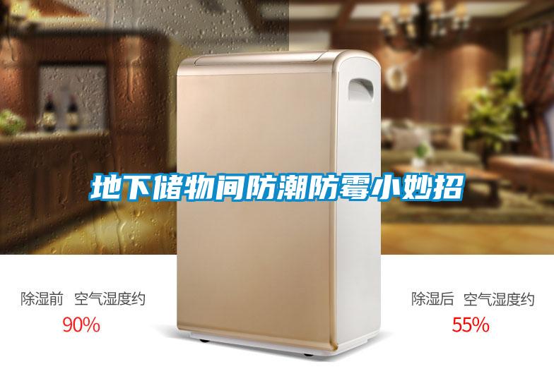 地下儲(chǔ)物間防潮防霉小妙招