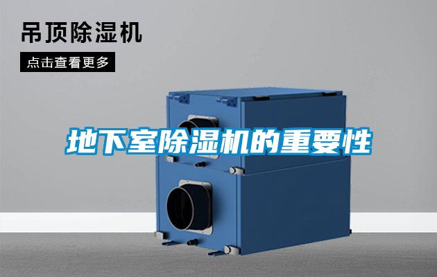 地下室除濕機(jī)的重要性