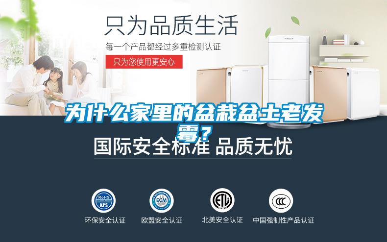 為什么家里的盆栽盆土老發(fā)霉？