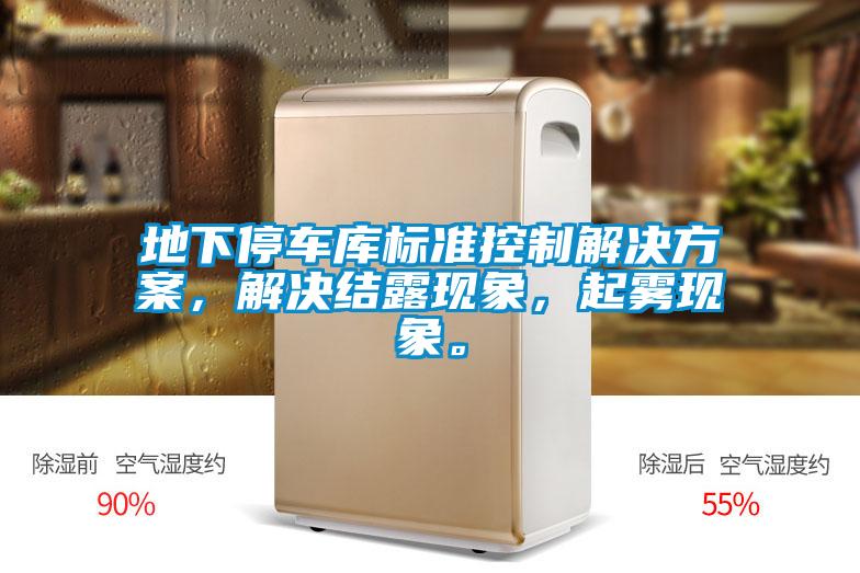 地下停車庫標準控制解決方案，解決結(jié)露現(xiàn)象，起霧現(xiàn)象。