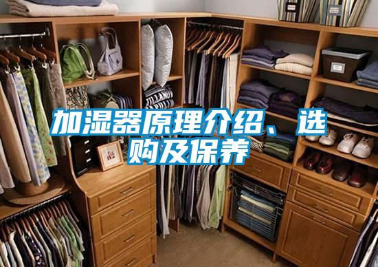 加濕器原理介紹、選購及保養(yǎng)