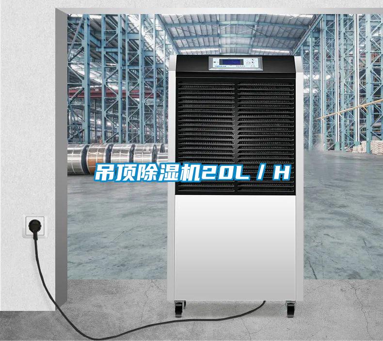 吊頂除濕機20L／H