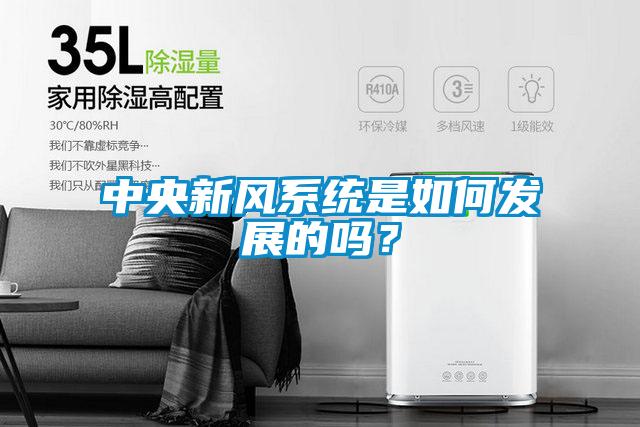 中央新風系統是如何發展的嗎？