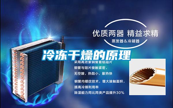 冷凍干燥的原理