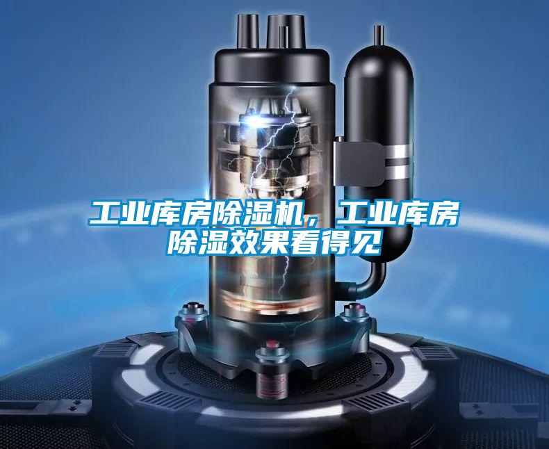 工業(yè)庫房除濕機，工業(yè)庫房除濕效果看得見