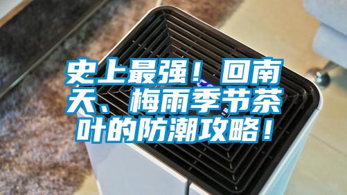 史上最強!回南天、梅雨季節茶葉的防潮攻略!