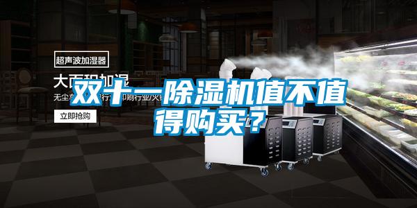 雙十一除濕機值不值得購買?