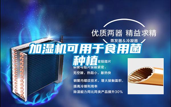 加濕機可用于食用菌種植