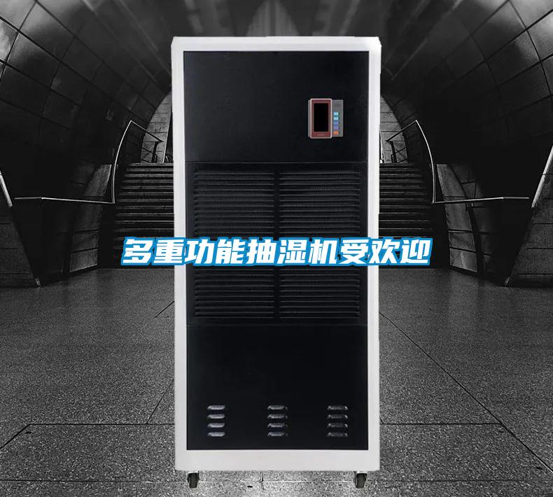 多重功能抽濕機受歡迎