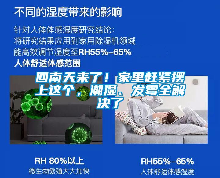回南天來(lái)了!家里趕緊擺上這個(gè),潮濕、發(fā)霉全解決了