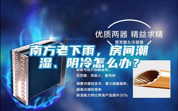 南方老下雨，房間潮濕、陰冷怎么辦？
