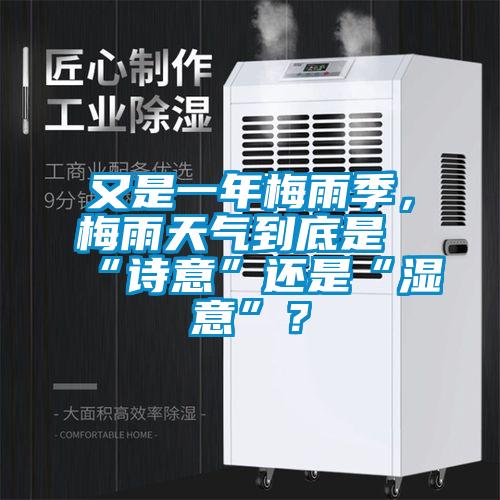 又是一年梅雨季，梅雨天氣到底是“詩意”還是“濕意”？