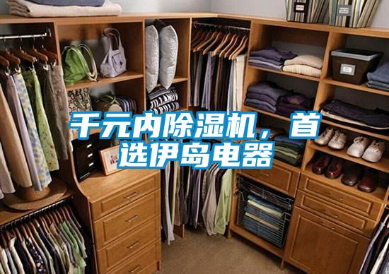 千元內除濕機，首選伊島電器