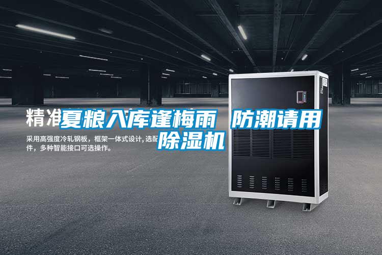 夏糧入庫逢梅雨 防潮請用除濕機