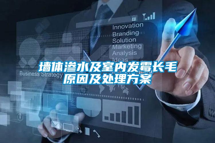 墻體滲水及室內發(fā)霉長毛原因及處理方案