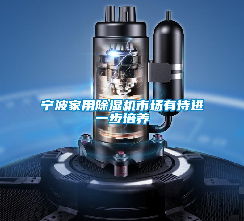 寧波家用除濕機市場有待進一步培養