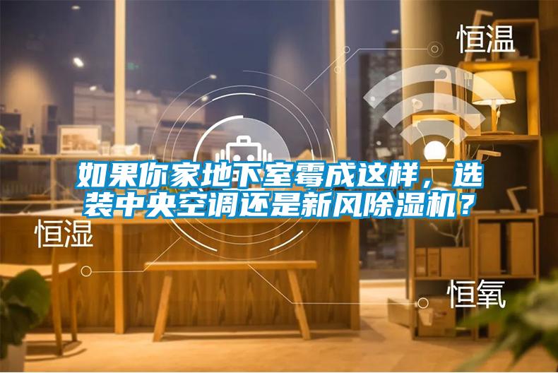 如果你家地下室霉成這樣,選裝中央空調還是新風除濕機?