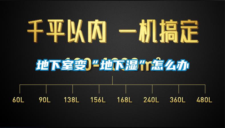 地下室變“地下濕”怎么辦