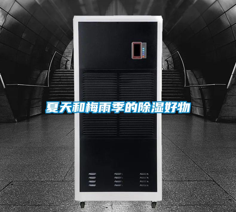 夏天和梅雨季的除濕好物