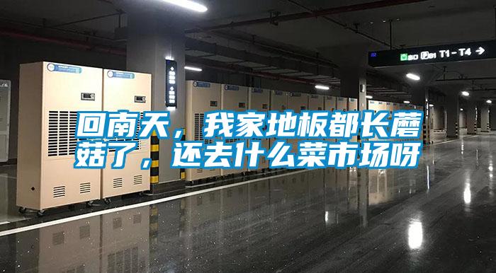 回南天，我家地板都長蘑菇了，還去什么菜市場呀