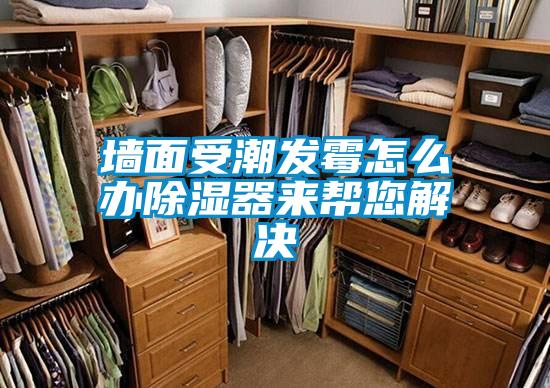 墻面受潮發(fā)霉怎么辦除濕器來幫您解決