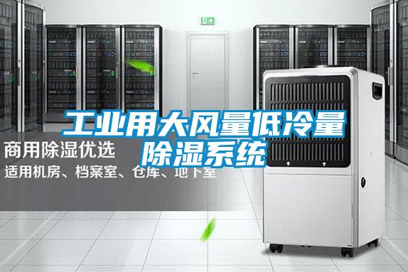 工業用大風量低冷量除濕系統