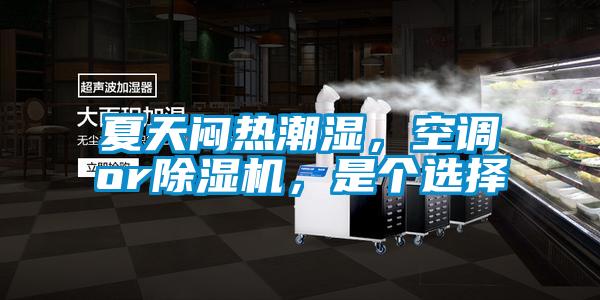 夏天悶熱潮濕，空調(diào)or除濕機，是個選擇