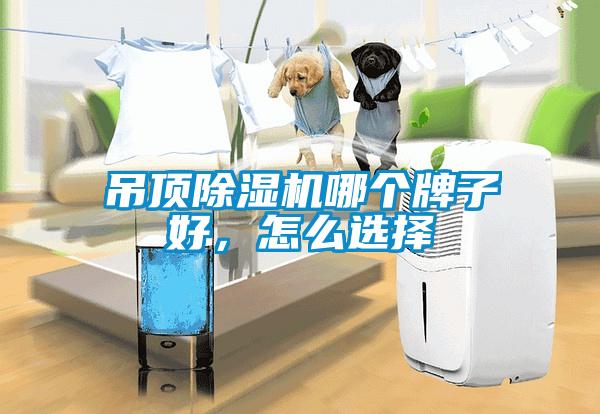 吊頂除濕機哪個牌子好，怎么選擇