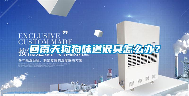 回南天狗狗味道很臭怎么辦？