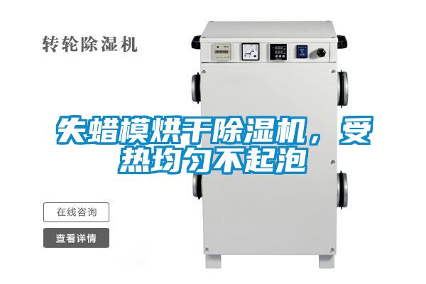 失蠟模烘干除濕機，受熱均勻不起泡